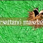 Csattanó maszlag